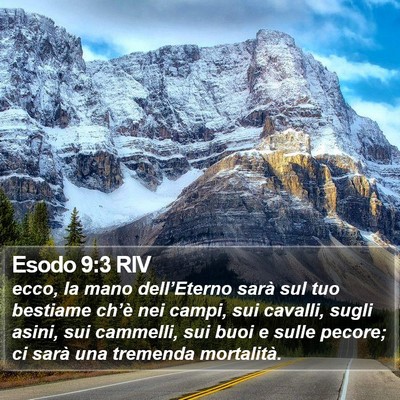 Esodo 9:3 RIV Bible Verse Image