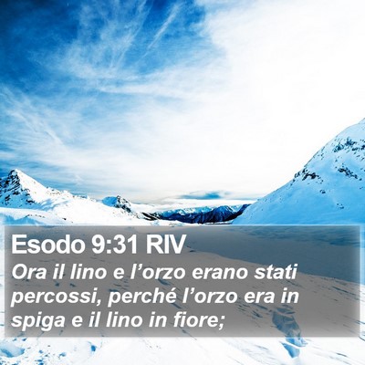 Esodo 9:31 RIV Bible Verse Image