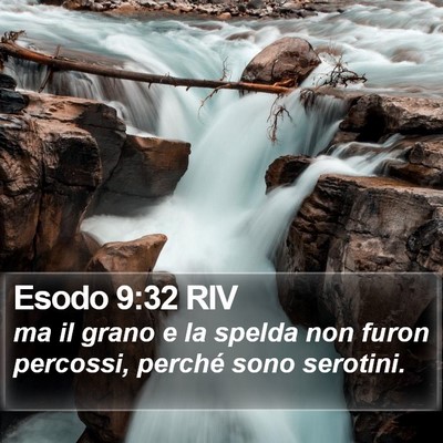 Esodo 9:32 RIV Bible Verse Image
