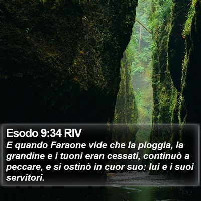 Esodo 9:34 RIV Bible Verse Image