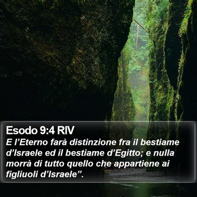 Esodo 9:4 RIV Bible Verse Image