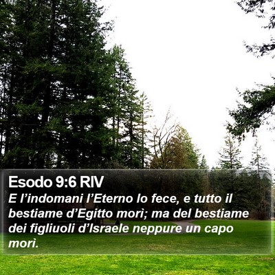 Esodo 9:6 RIV Bible Verse Image