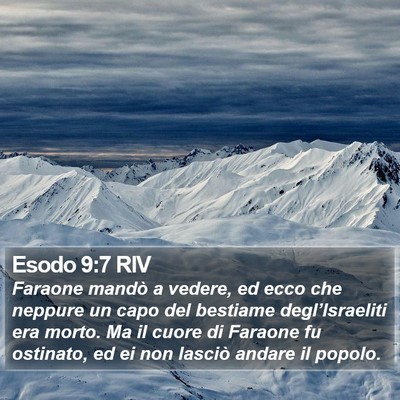 Esodo 9:7 RIV Bible Verse Image