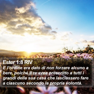 Ester 1:8 RIV Bible Verse Image