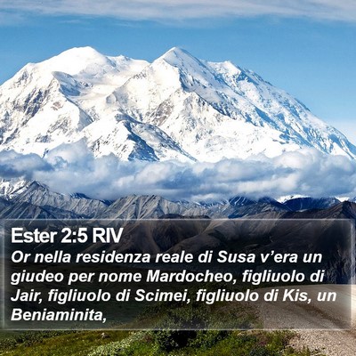 Ester 2:5 RIV Bible Verse Image
