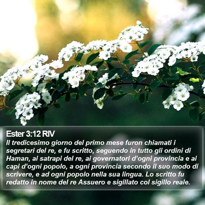 Ester 3:12 RIV Bible Verse Image