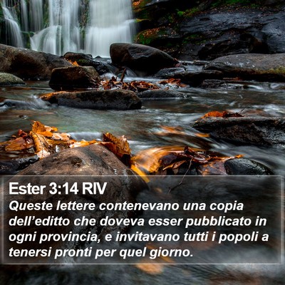 Ester 3:14 RIV Bible Verse Image
