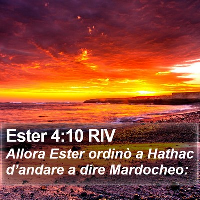 Ester 4:10 RIV Bible Verse Image