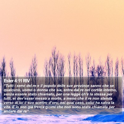 Ester 4:11 RIV Bible Verse Image