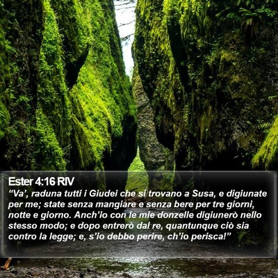 Ester 4:16 RIV Bible Verse Image