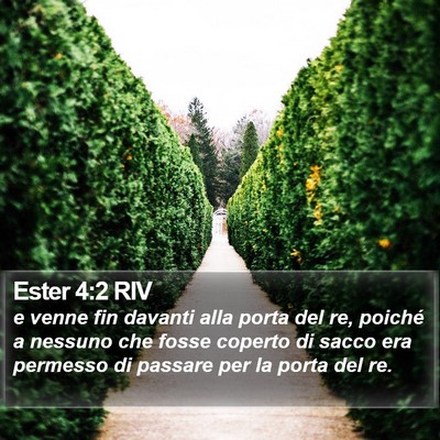 Ester 4:2 RIV Bible Verse Image