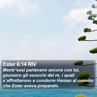 Ester 6:14 RIV Bible Verse Image