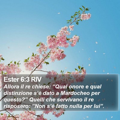 Ester 6:3 RIV Bible Verse Image