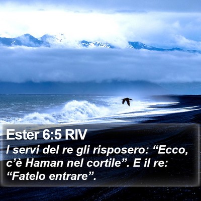 Ester 6:5 RIV Bible Verse Image