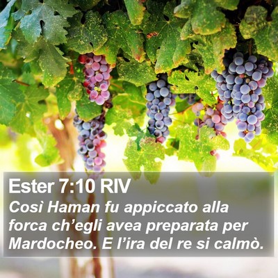 Ester 7:10 RIV Bible Verse Image