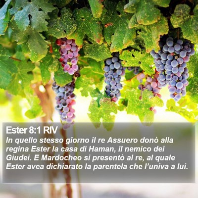 Ester 8:1 RIV Bible Verse Image