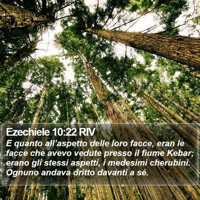 Ezechiele 10:22 RIV Bible Verse Image