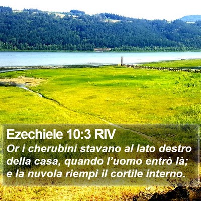 Ezechiele 10:3 RIV Bible Verse Image