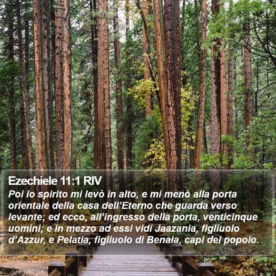 Ezechiele 11:1 RIV Bible Verse Image