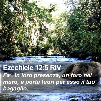 Ezechiele 12:5 RIV Bible Verse Image