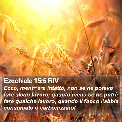 Ezechiele 15:5 RIV Bible Verse Image