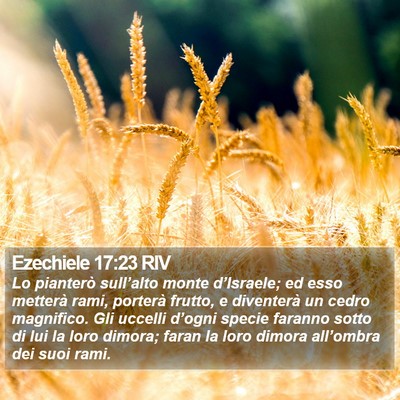 Ezechiele 17:23 RIV Bible Verse Image