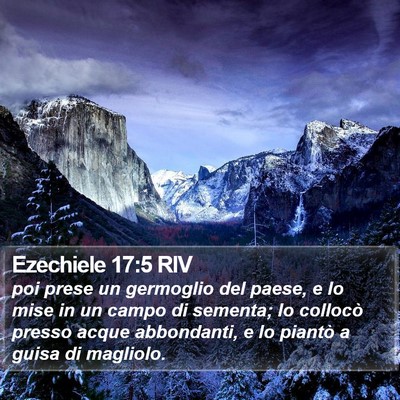 Ezechiele 17:5 RIV Bible Verse Image