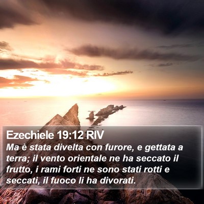 Ezechiele 19:12 RIV Bible Verse Image