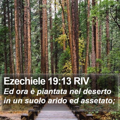 Ezechiele 19:13 RIV Bible Verse Image
