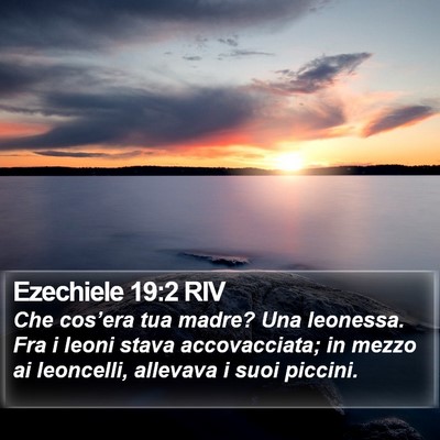 Ezechiele 19:2 RIV Bible Verse Image