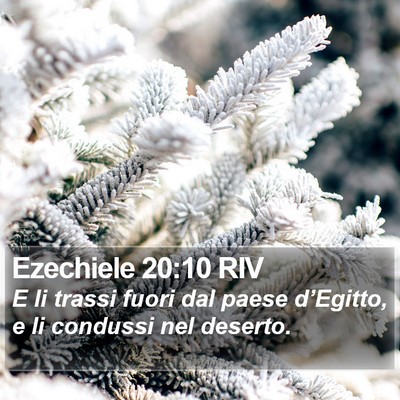 Ezechiele 20:10 RIV Bible Verse Image