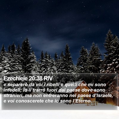 Ezechiele 20:38 RIV Bible Verse Image