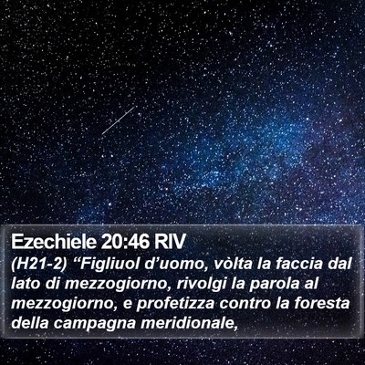 Ezechiele 20:46 RIV Bible Verse Image