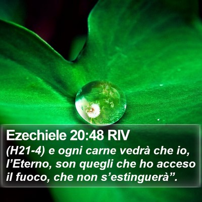 Ezechiele 20:48 RIV Bible Verse Image