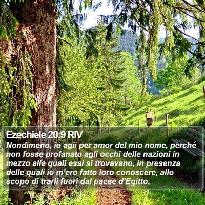 Ezechiele 20:9 RIV Bible Verse Image