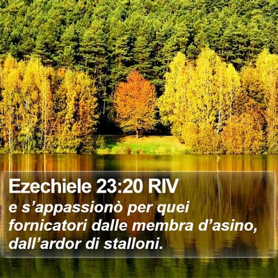 Ezechiele 23:20 RIV Bible Verse Image