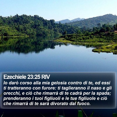 Ezechiele 23:25 RIV Bible Verse Image