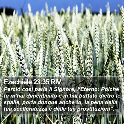Ezechiele 23:35 RIV Bible Verse Image