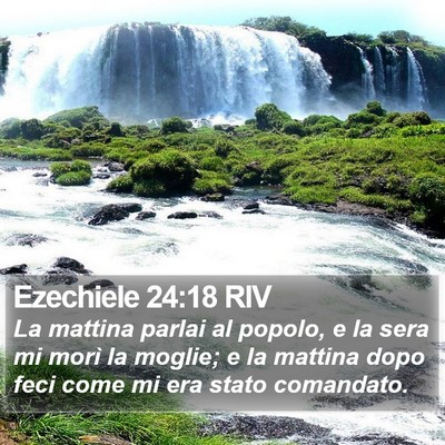 Ezechiele 24:18 RIV Bible Verse Image