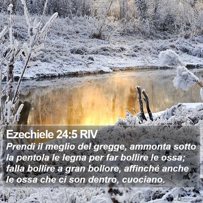 Ezechiele 24:5 RIV Bible Verse Image