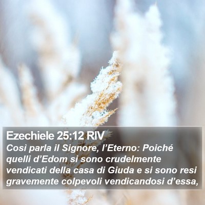Ezechiele 25:12 RIV Bible Verse Image