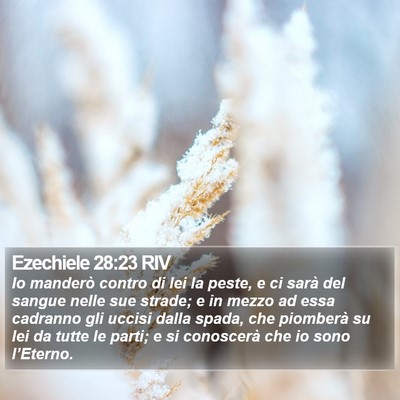Ezechiele 28:23 RIV Bible Verse Image