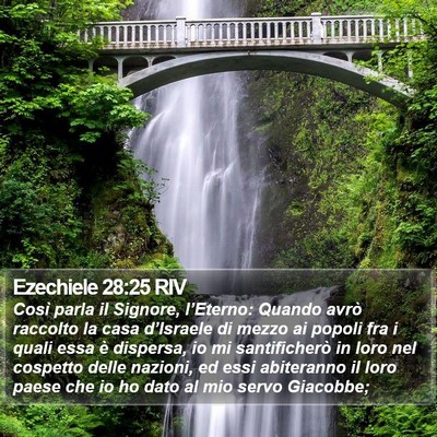 Ezechiele 28:25 RIV Bible Verse Image