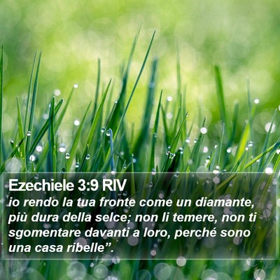 Ezechiele 3:9 RIV Bible Verse Image