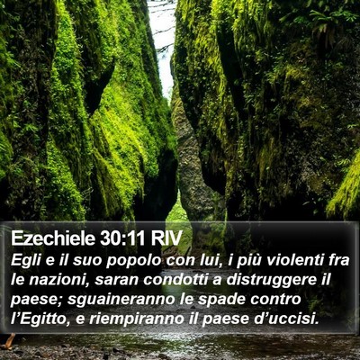 Ezechiele 30:11 RIV Bible Verse Image