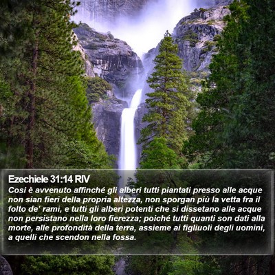 Ezechiele 31:14 RIV Bible Verse Image