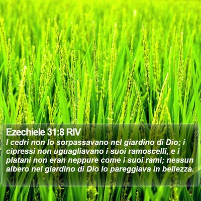 Ezechiele 31:8 RIV Bible Verse Image