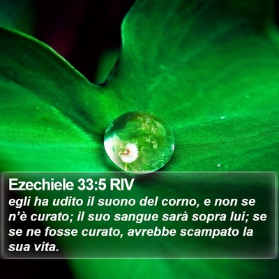 Ezechiele 33:5 RIV Bible Verse Image