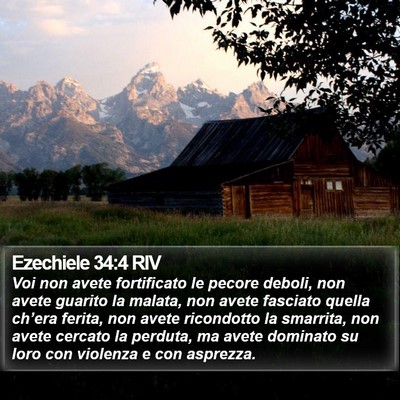 Ezechiele 34:4 RIV Bible Verse Image