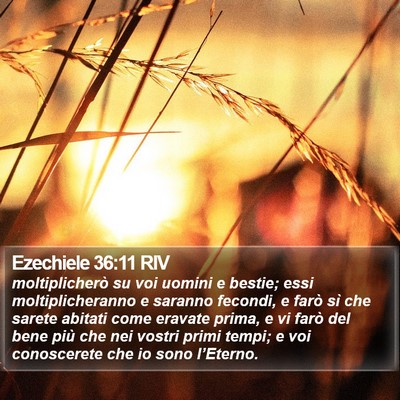 Ezechiele 36:11 RIV Bible Verse Image